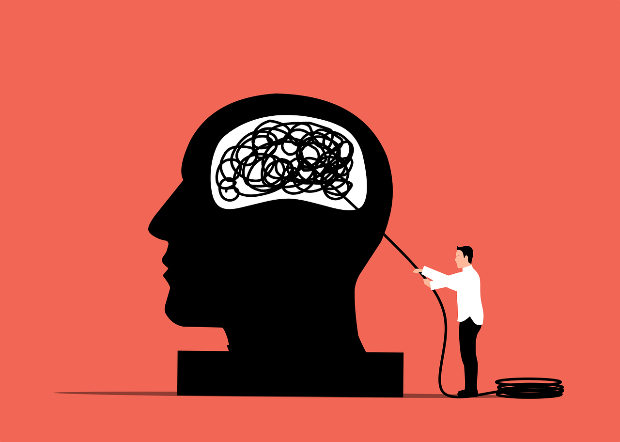 human brain