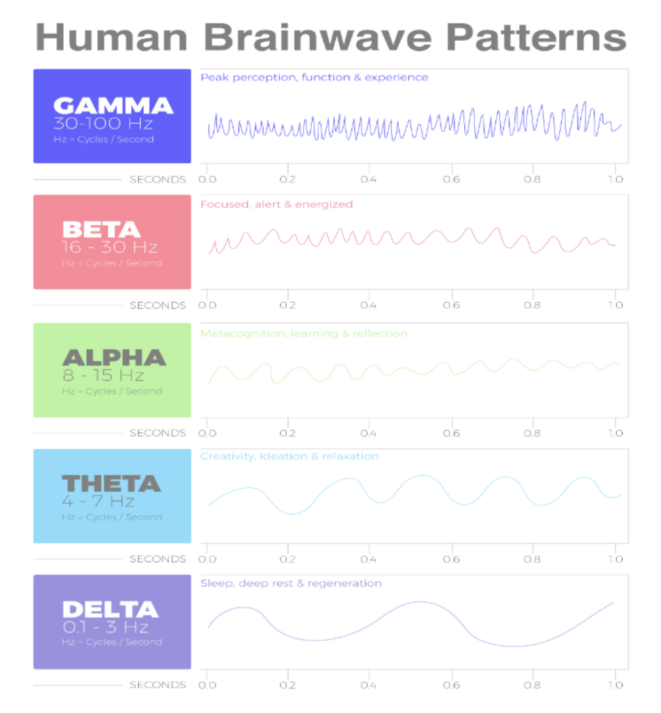 Human Brainwave Patterns