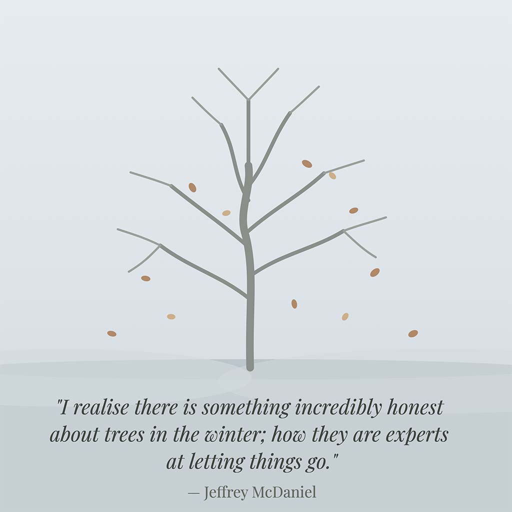 trees_letting_go_winter